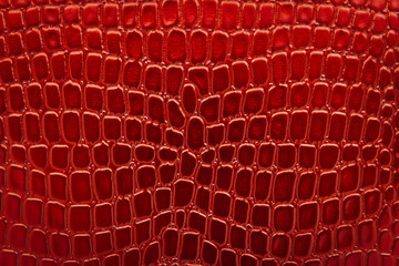 Obraz premium glossy crocodile skin