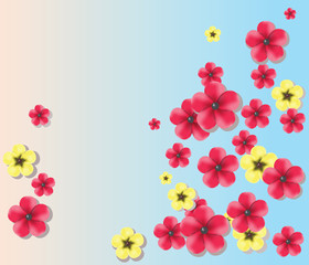 Colorful flowers. Spring and summer background. Vector