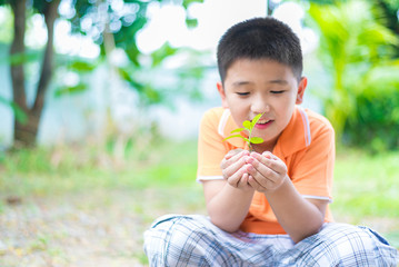 Asian child holding young seedling plant in hands, in garden, on