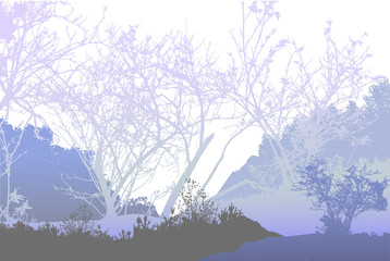 Panoramic winter forest landscape with silhouettes of frozen plants and trees