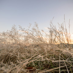 Obraz premium blue sky