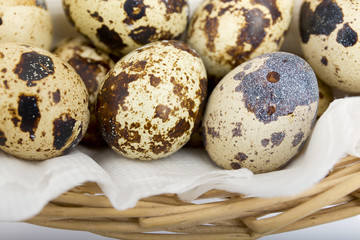 Obraz premium quail eggs close-up on a white background