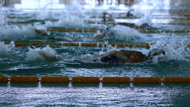 Teenage Competition In Swimming Pool Race In The Tracks,indoor Swim Pool