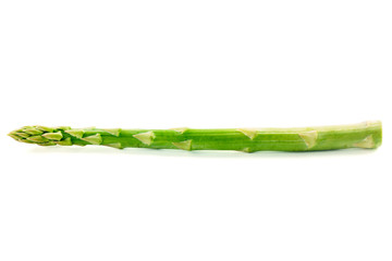 Raw asparagus isolated on white