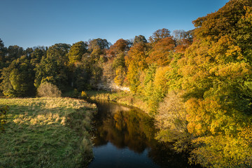 River Till from Twizel Bridge