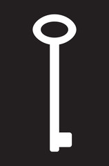 Key isolated. Vector icon