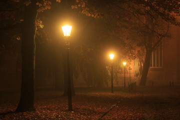 Fototapeta na wymiar Streetlights in a park on a foggy night in autumn.
