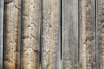 Fototapeta premium natural weathered wood