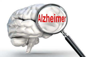 Alzheimer disease on magnifying glass and human brain