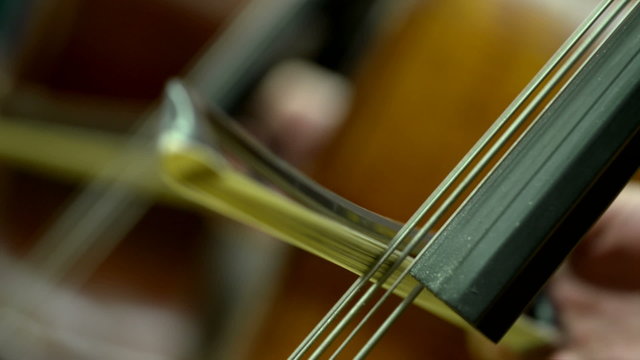 macro of cello strings in orchestra