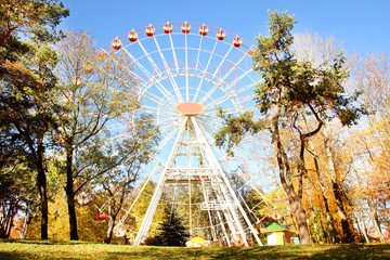 A colorful ferris wheel in amusement park. Autumn park. 