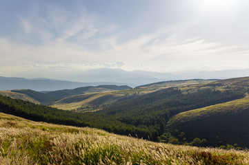 View of the vast plateau.Yellow-green meadow