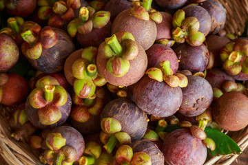 fresh mangosteen fruit