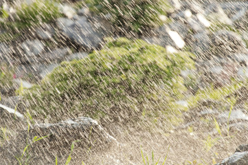 fir decorative stone in the garden in the rain