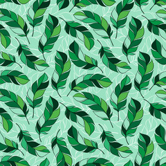 Vector hand drawn seamless patterns with feathers