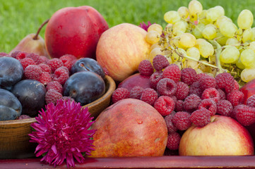 different types of fruit and raspberry closeup with flower aster