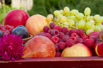 different types of fruit and raspberry closeup with flower aster