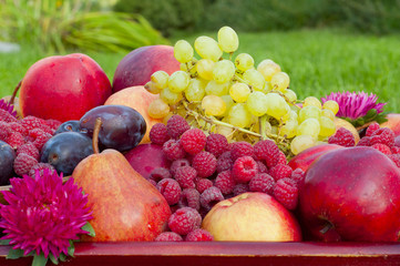 different types of fruit and raspberry closeup with flower aster