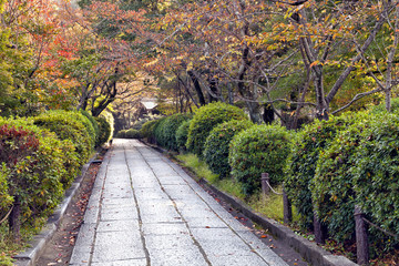 Fototapeta na wymiar Autumn garden with colorful foliage on trees, dropped leaves on a stone walking path