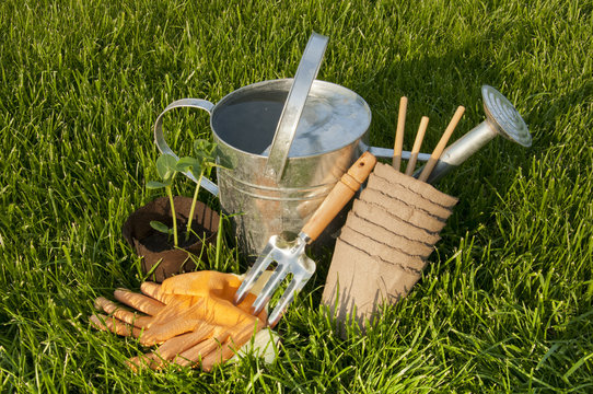 Lake seedlings, GLOVES, peat pots and garden rakes on the lawn G