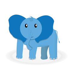 Fototapeta premium Wildlife