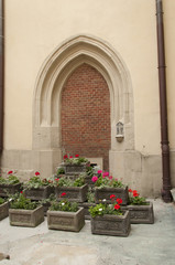 Fototapeta na wymiar decorative vases of flowers near the building in the city of Lvi