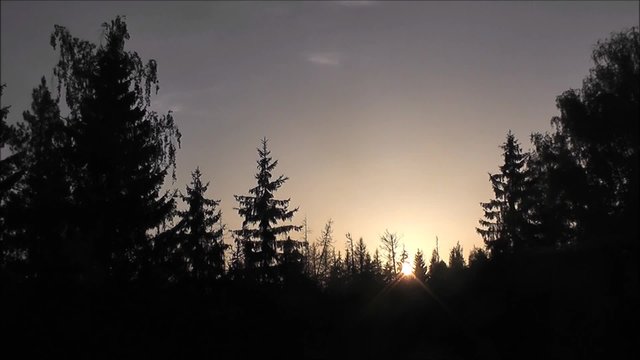 sunset over the forest