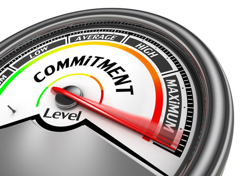 commitment level to maximum conceptual meter