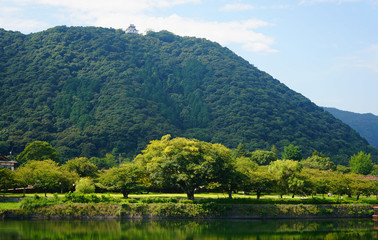 Fototapeta na wymiar Iwakuni castle and mountain, Japan