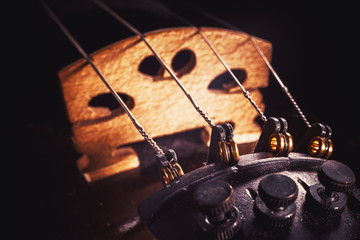 Violin Strings Details