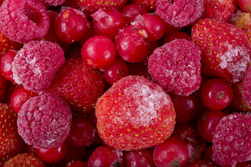 berries in a deep freeze
