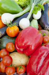 harvest of vegetables