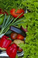 harvest of vegetables
