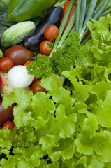 harvest of vegetables