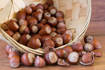 hazelnuts in basket