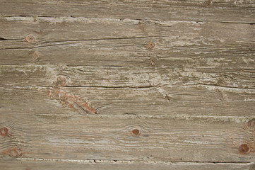 wooden texture