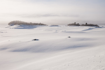 neblige Winterlandschaft in Schweden