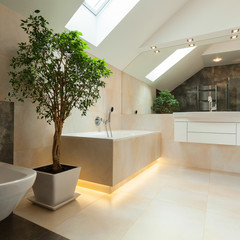 Interior of modern bathroom in new house