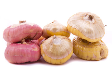 gladiolus bulbs pink and yellow on a white background