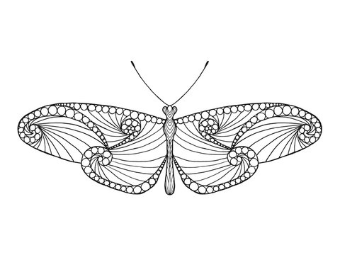 Zentangle stylized butterfly.