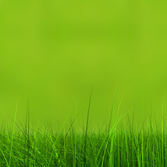 Conceptual green 3d grass field or lawn on green background