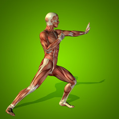 Conceptual 3D human man health anatomy