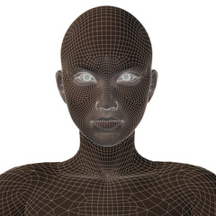 Conceptual 3D wireframe human female or woman face or head