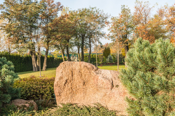 Фрагмент осеннего парка