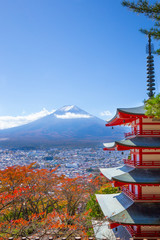 紅葉と富士山（新倉山浅間公園）