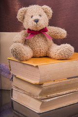 old bear and vintage old books
