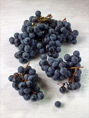 Синий виноград.