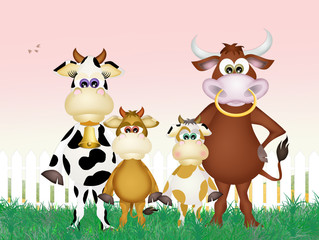 family of cows