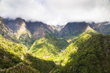 Tops of mountains. overgrown with the green wood and lit with th
