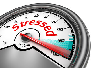 Stressed hundred per cent conceptual meter